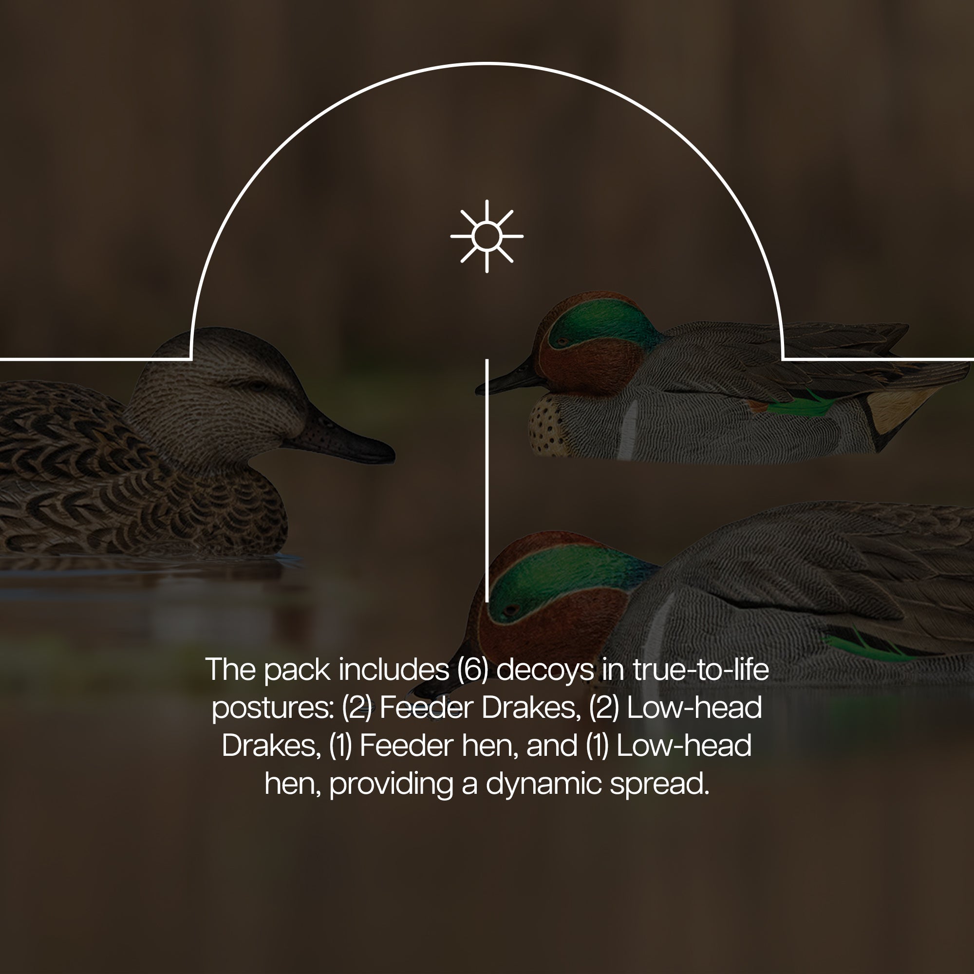 Avian X Topflight Green-Winged Teal Duck, Floating Decoys, 6pc (Open Box) - VMInnovations
