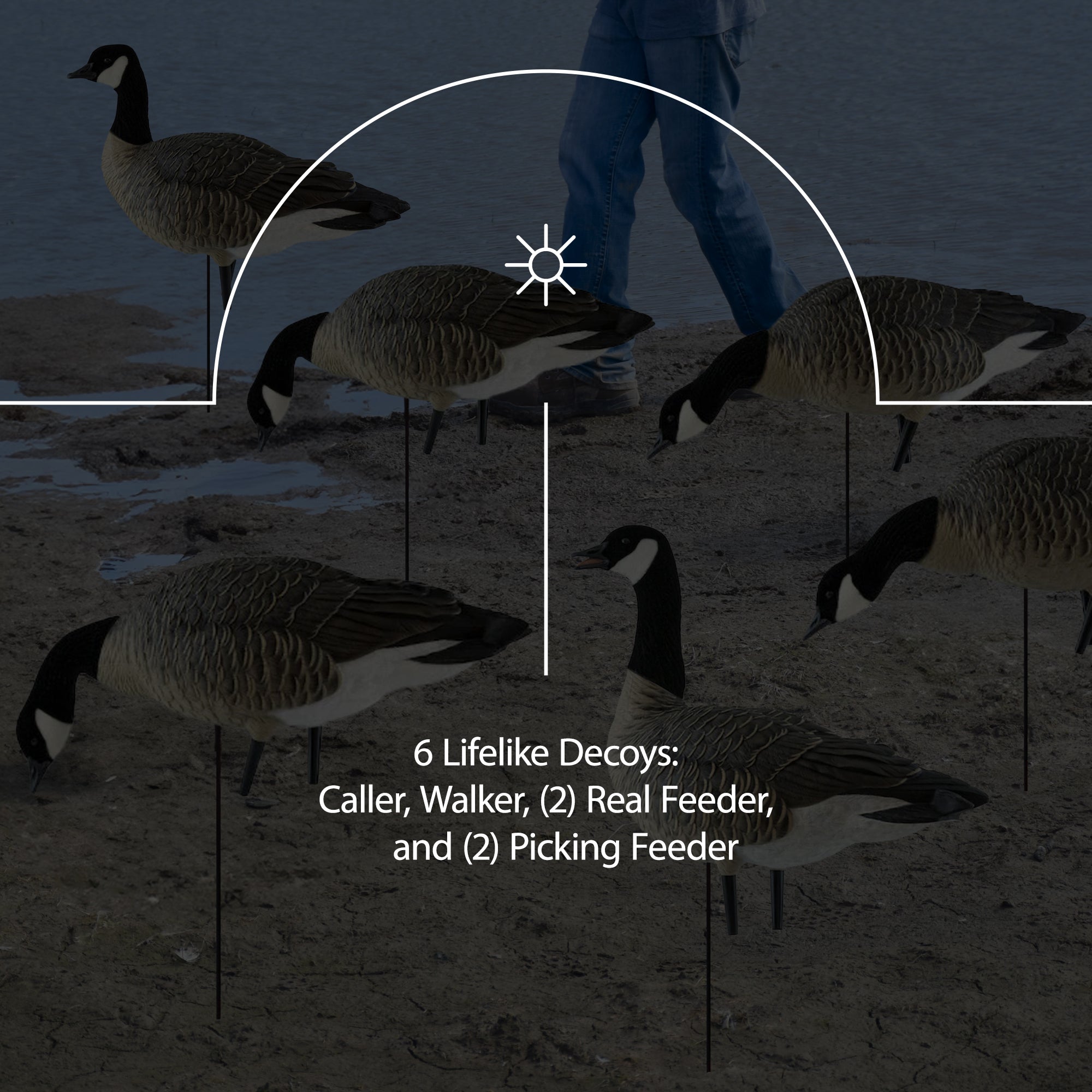 Avian X AXP Honkers Fusion Pack Goose Decoy with 6 Piece Fusion Pack for Hunting