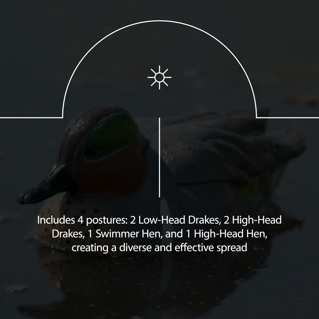 Avian X Top Flight Open Water Mallards Decoys, Ultra Realistic Floating, 6 Pack