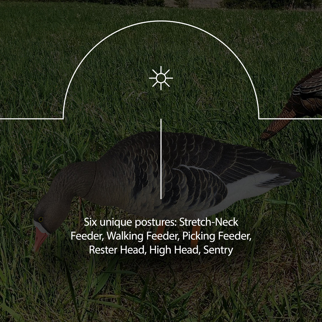 Avian X AVF Specklebelly Fusion Pack with Custom Fitted Bag for Hunting Use - VMInnovations