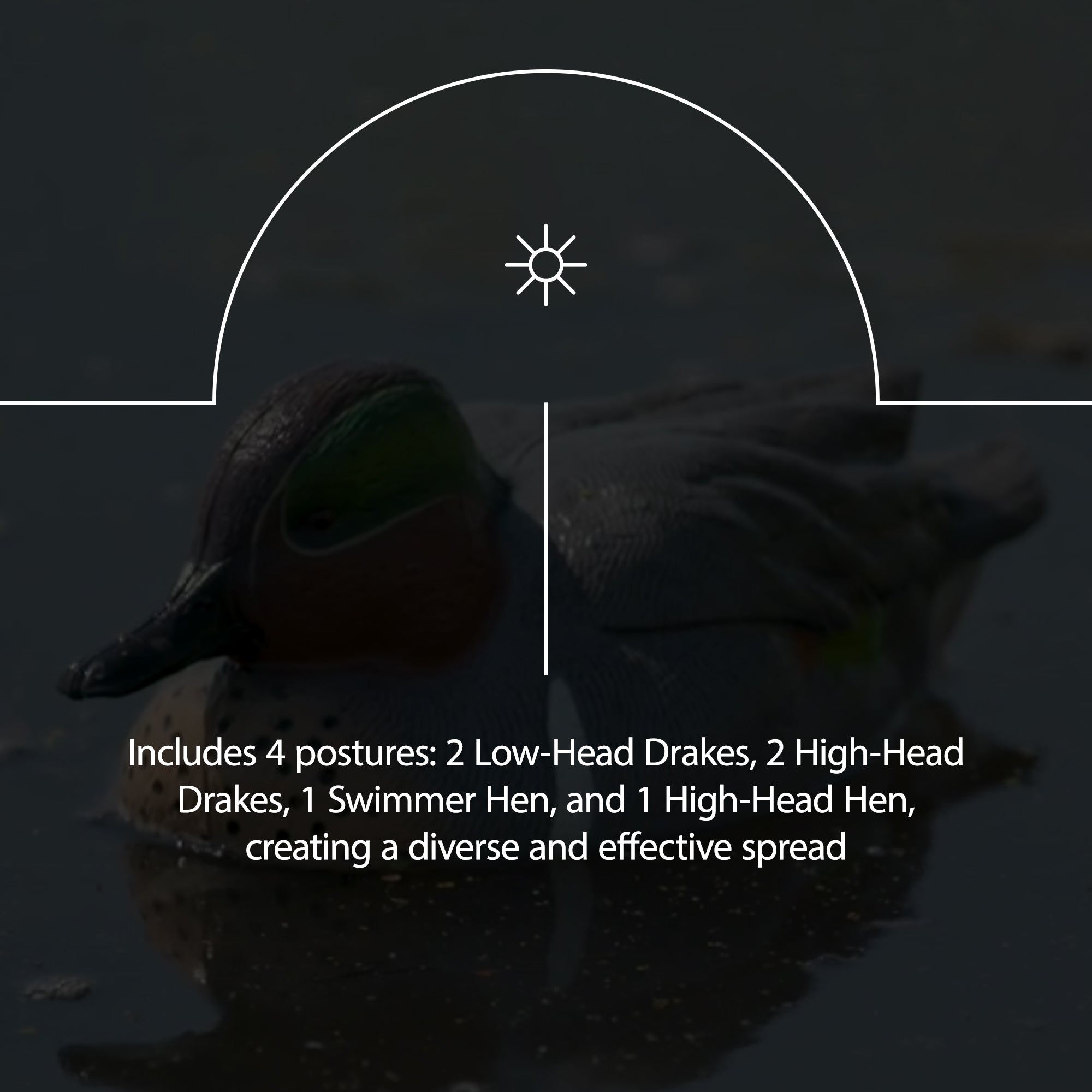 Avian X Open Water Mallards Decoys, Ultra Realistic Floating, 6pk (Used) - VMInnovations