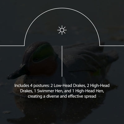 Avian X Open Water Mallards Decoys, Ultra Realistic Floating, 6pk (Used) - VMInnovations
