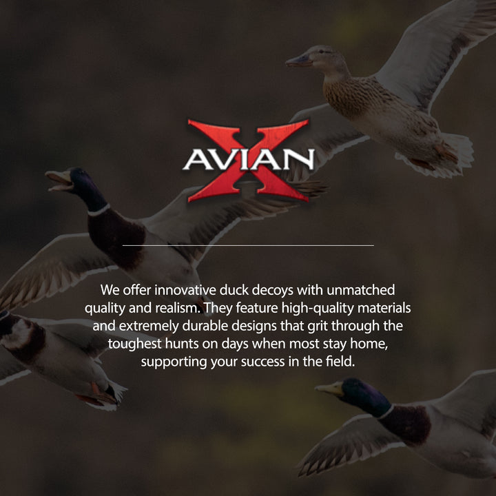 Avian X Top Flight Water Mallards Decoys, Realistic Floating, 6 Pack (Open Box)