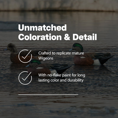 Avian X Topflight Wigeons, Rugged Realistic Floating Decoys, 6 Pack, Multicolor - VMInnovations