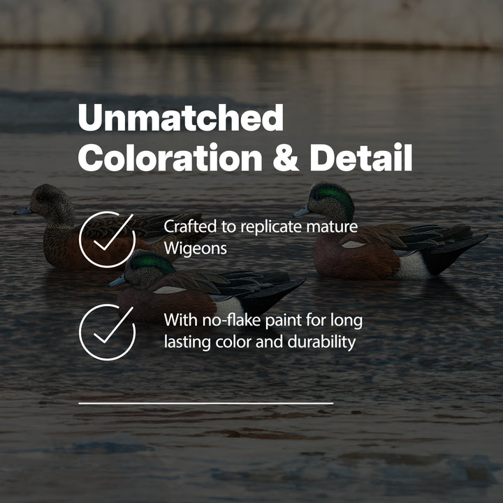 Avian X Topflight Wigeons, Rugged Realistic Floating Decoys, 6 Pack (Open Box)