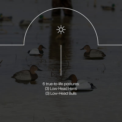 Avian X Canvasbacks Decoys Realistic Gray Duck, Set of 6, Multicolor (Open Box) - VMInnovations