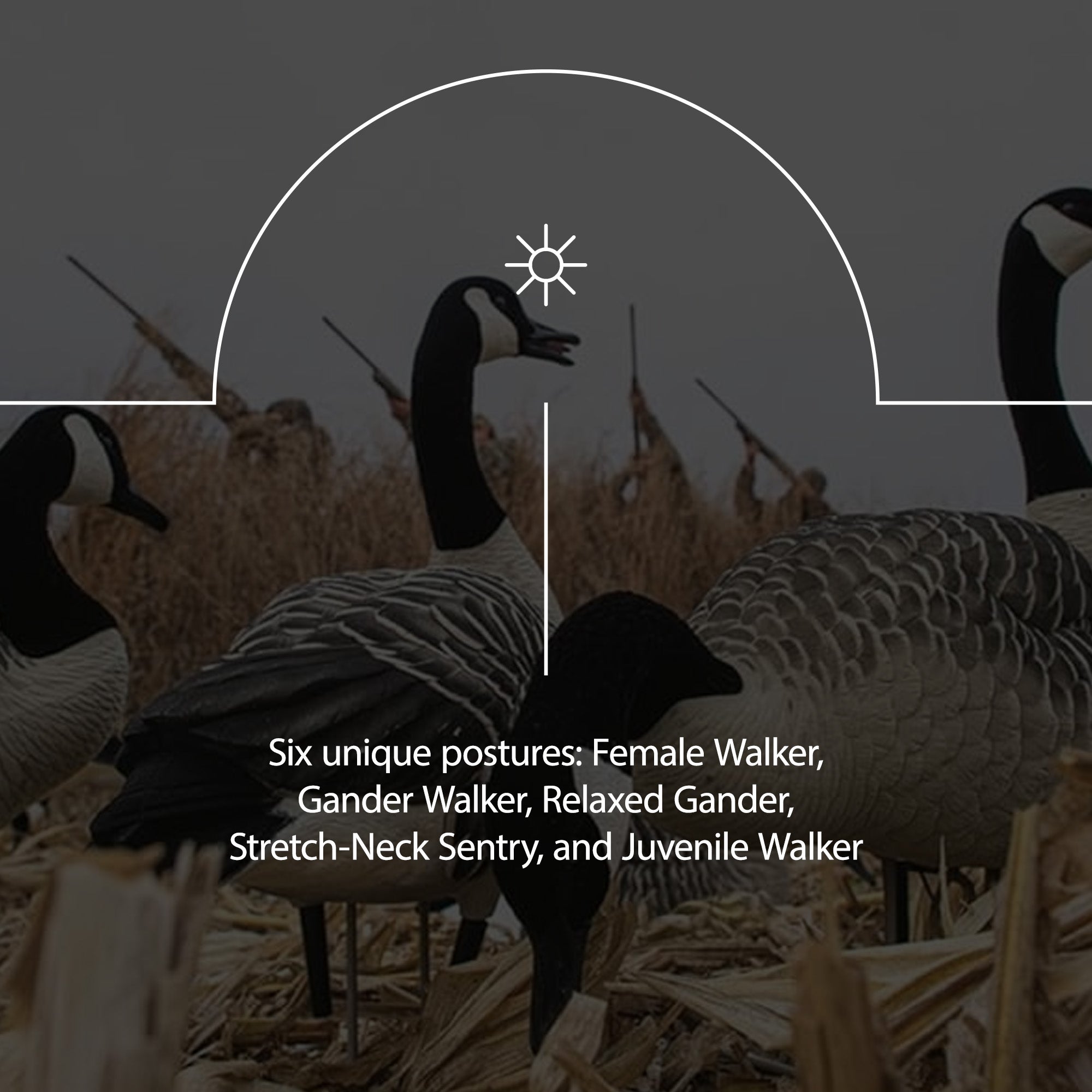 Avian X AXP 6 Piece Honker Sentry Walker Realistic Goose Hunting Decoy, 2 Pack - VMInnovations