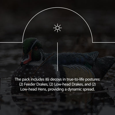 Avian X Topflight Wood Ducks, Floating Decoys, 6 Pack, Multicolor (Open Box) - VMInnovations