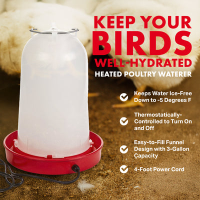 API HPW33 3 Gallon Heated Poultry Chicken Waterer Drinking Water Tank Trough - VMInnovations