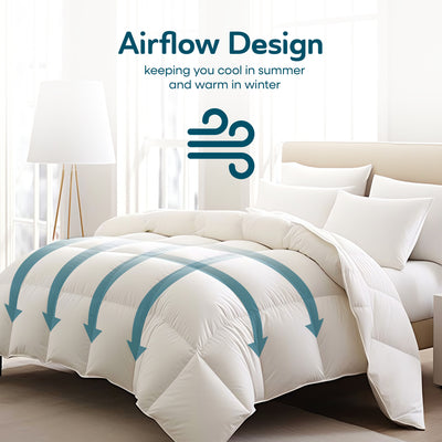 Sleepgram Queen Sized Pre Shrunk Lightweight Embroidered Cotton Comforter, White - VMInnovations