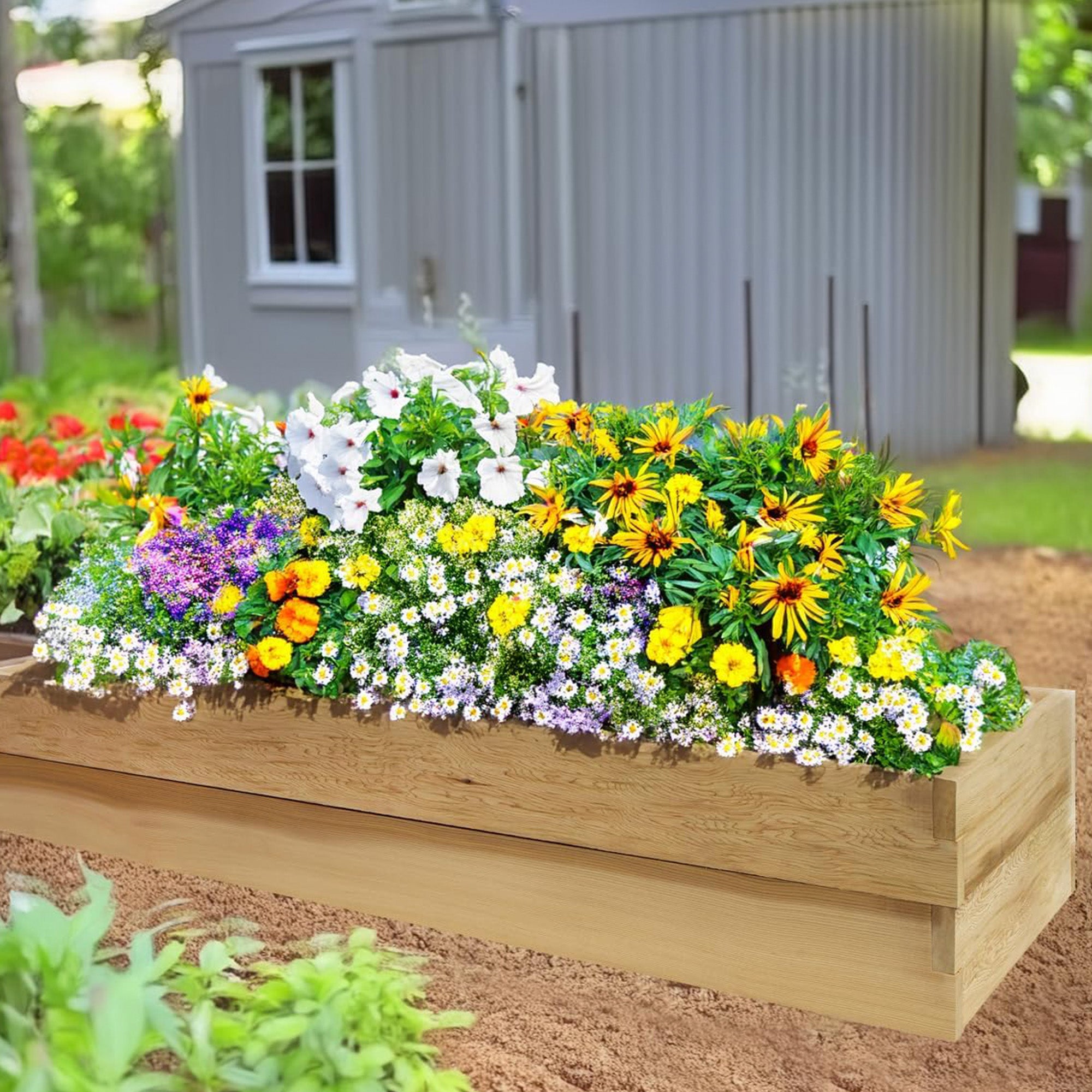 All Things Cedar 6x2 Ft Elevated Garden Box with Stackable and Expandable Design - VMInnovations
