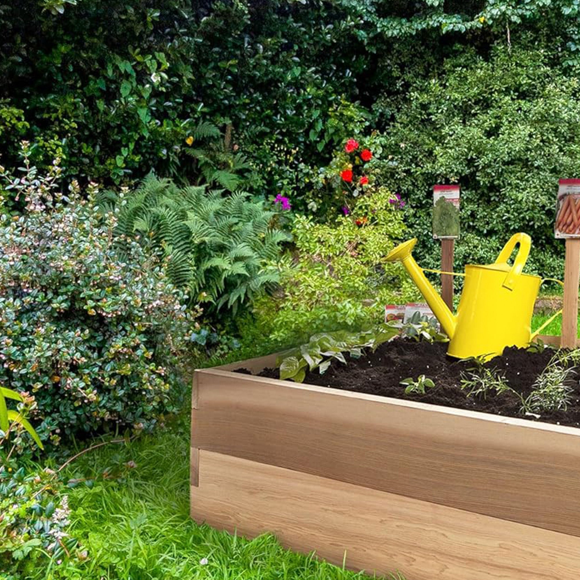 All Things Cedar 6x2 Ft Elevated Garden Box with Stackable and Expandable Design - VMInnovations