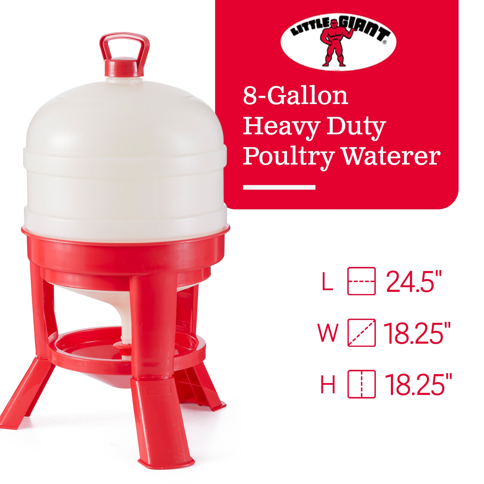 Little Giant 8 Gallon Tank Heavy Duty Poultry Chicken Gravity Waterer (Open Box)
