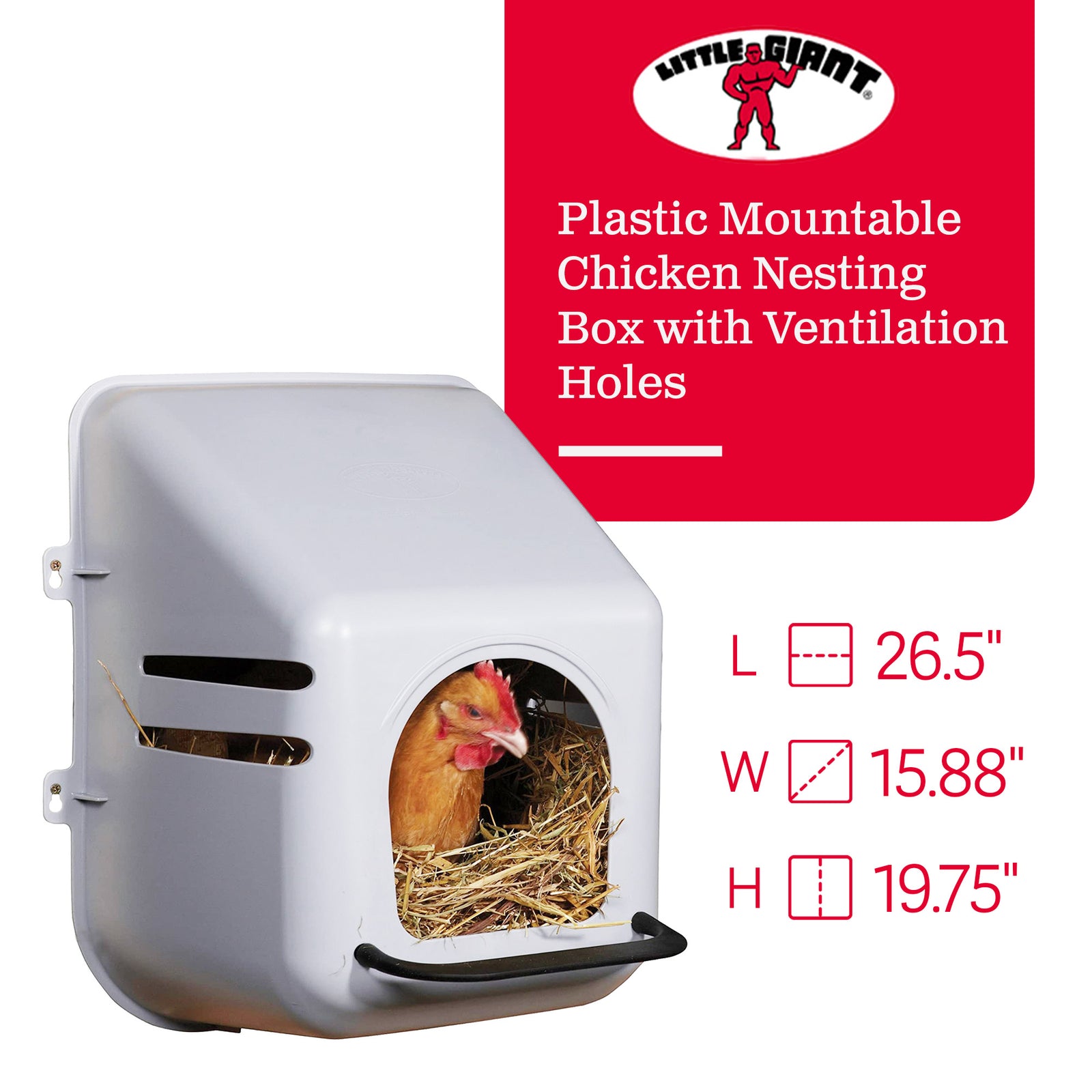 Little Giant Single Plastic Mountable Chicken Nesting Box with Ventilation Holes - VMInnovations