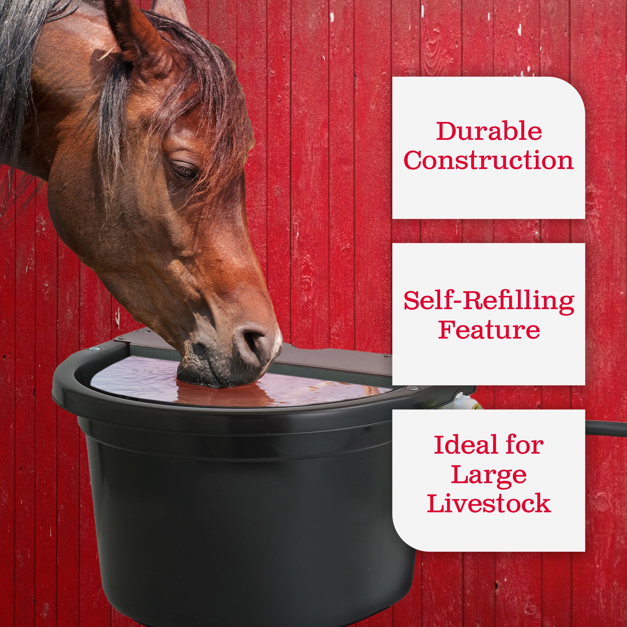 Little Giant 4 Gal. Float Controlled Waterer Livestock Water Trough (Used) - VMInnovations