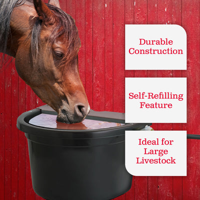 Little Giant 4 Gal. Float Controlled Waterer Livestock Water Trough (3 Pack)