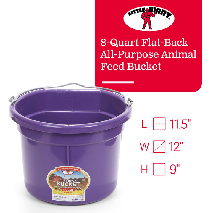 Little Giant 2 Gallon All Purpose Flat Back Plastic Bucket, Purple, (12 Pack)
