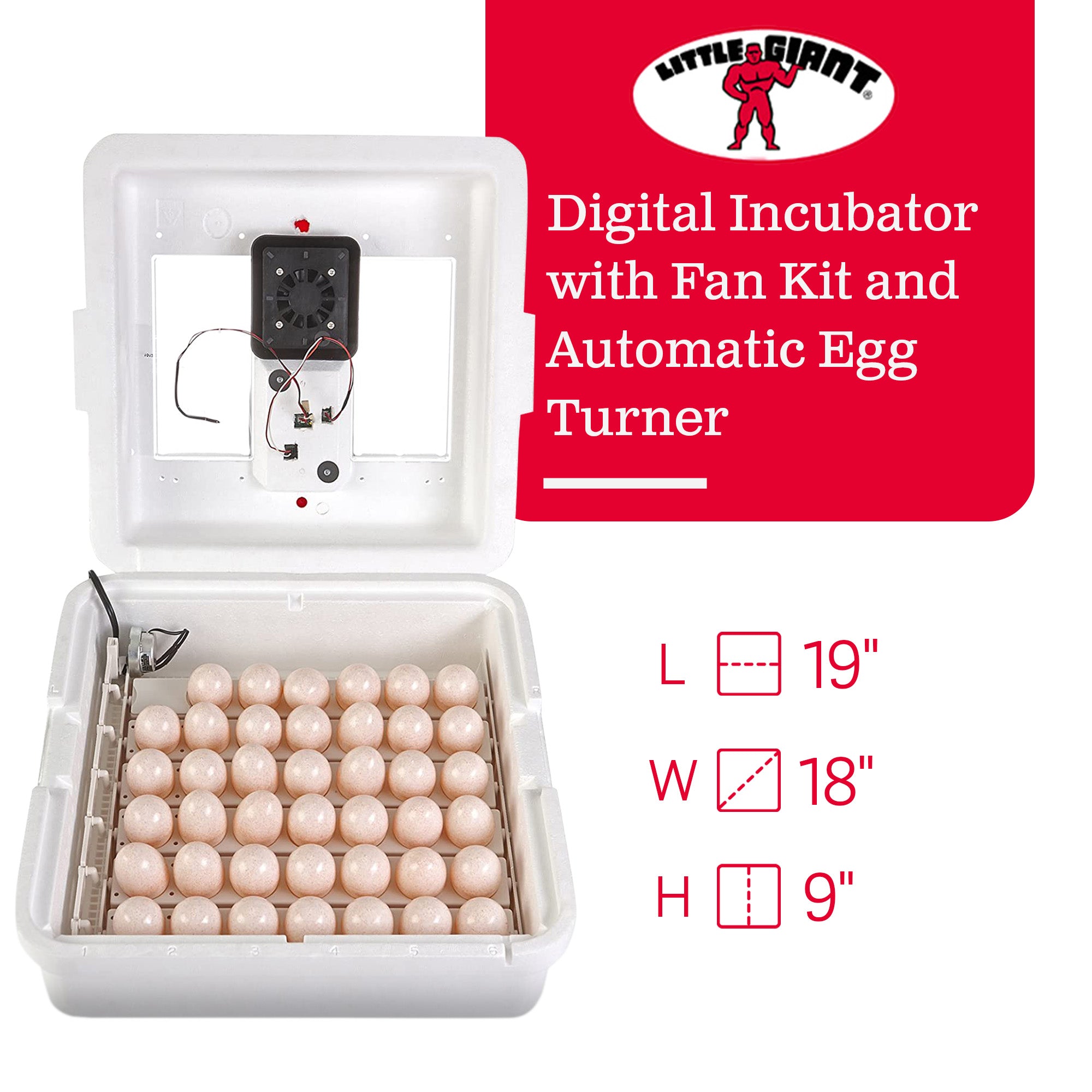 Little Giant 11300 Digital Incubator with Fan and Automatic Egg Turner(Open Box) - VMInnovations