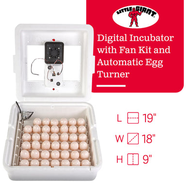 Little Giant 11300 Digital Incubator with Fan and Automatic Egg Turner(Open Box) - VMInnovations