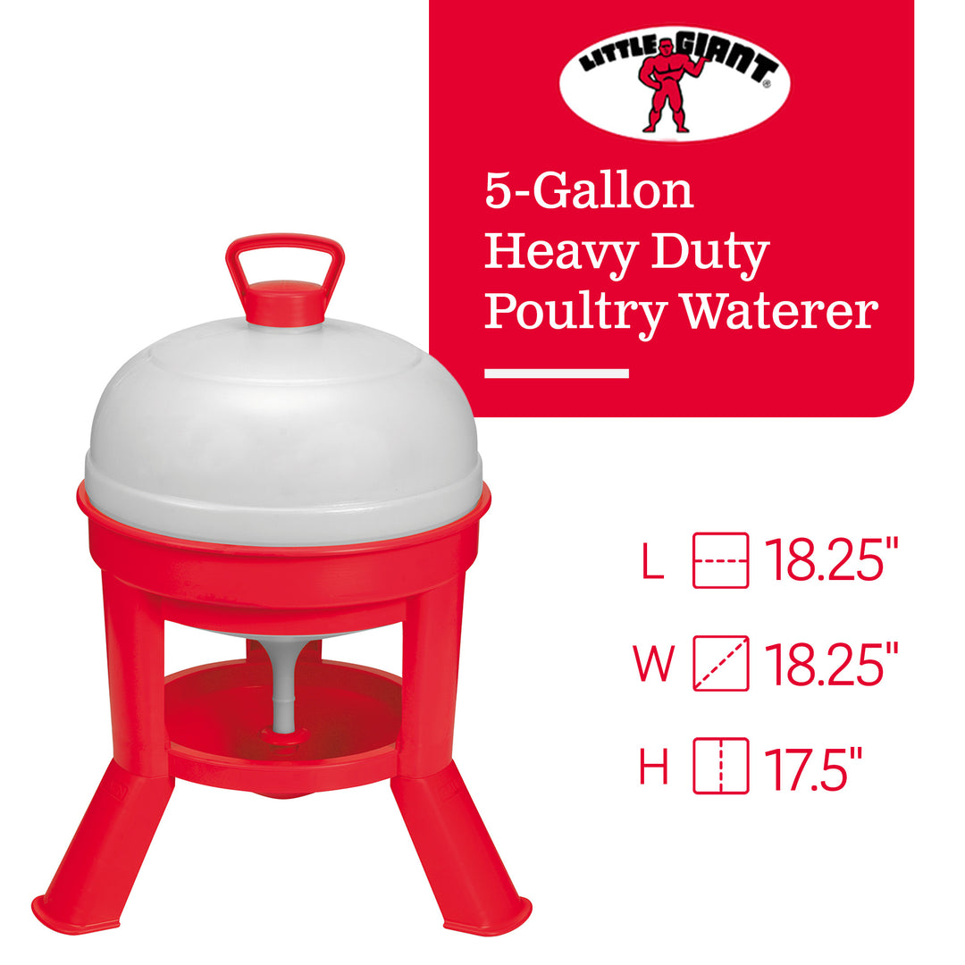 Little Giant DOMEWTR5 5 Gallon Tank Heavy Duty Poultry Chicken Gravity Waterer