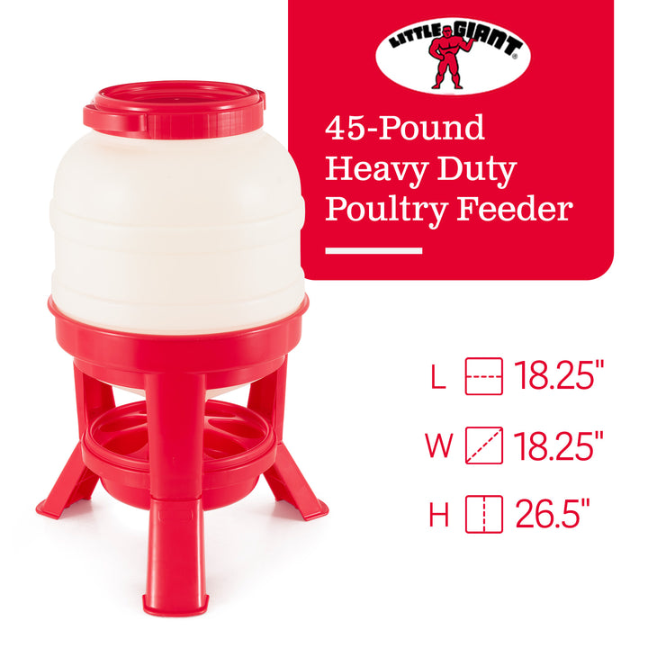 Little Giant 45 Pound Feed Heavy Duty Poultry Chicken Gravity Feeder (Open Box)