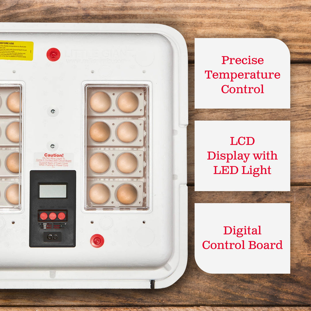 Little Giant 11300 Deluxe Digital Incubator with Fan and Automatic Egg Turner - VMInnovations