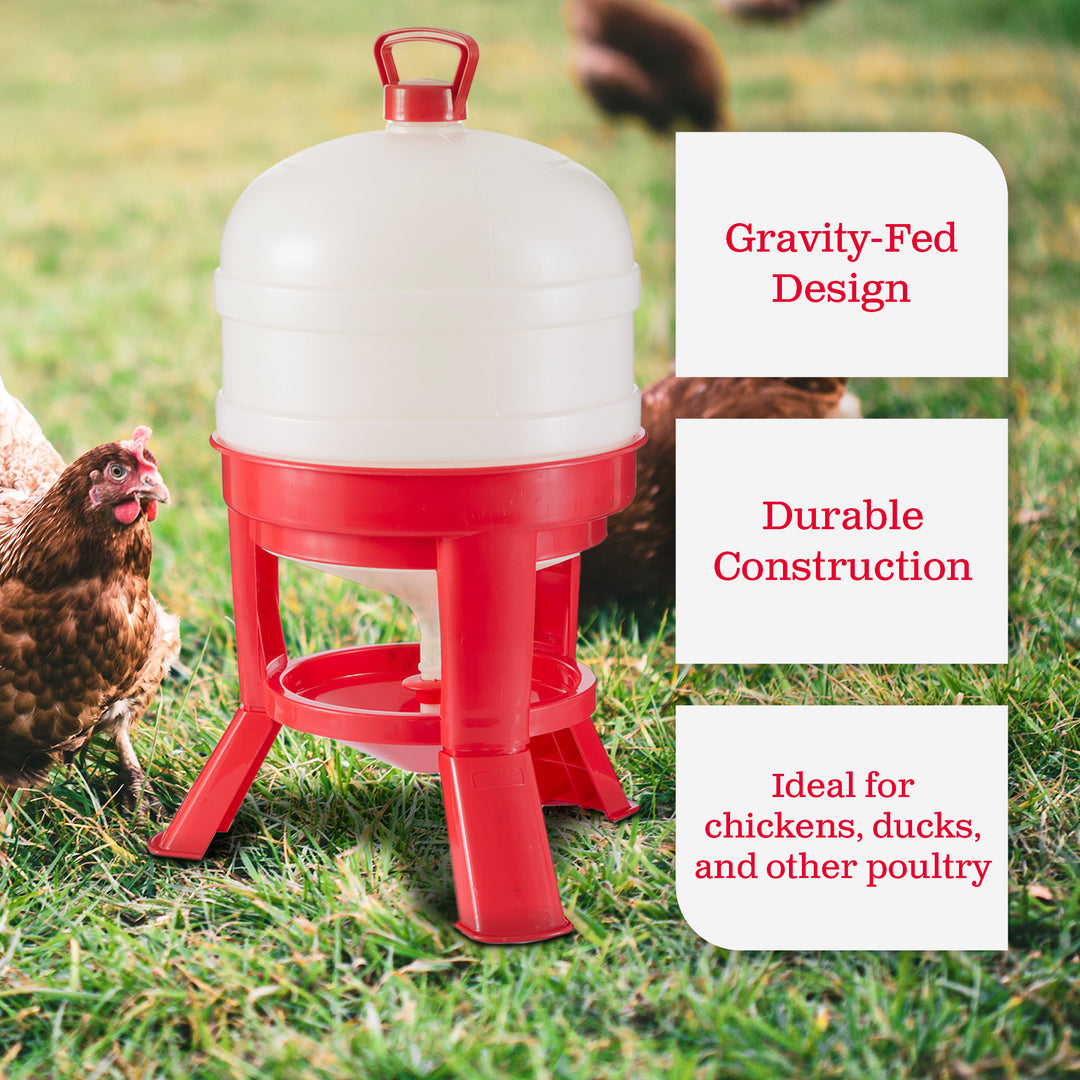 Little Giant 8 Gallon Tank Heavy Duty Poultry Chicken Gravity Waterer (4 Pack)