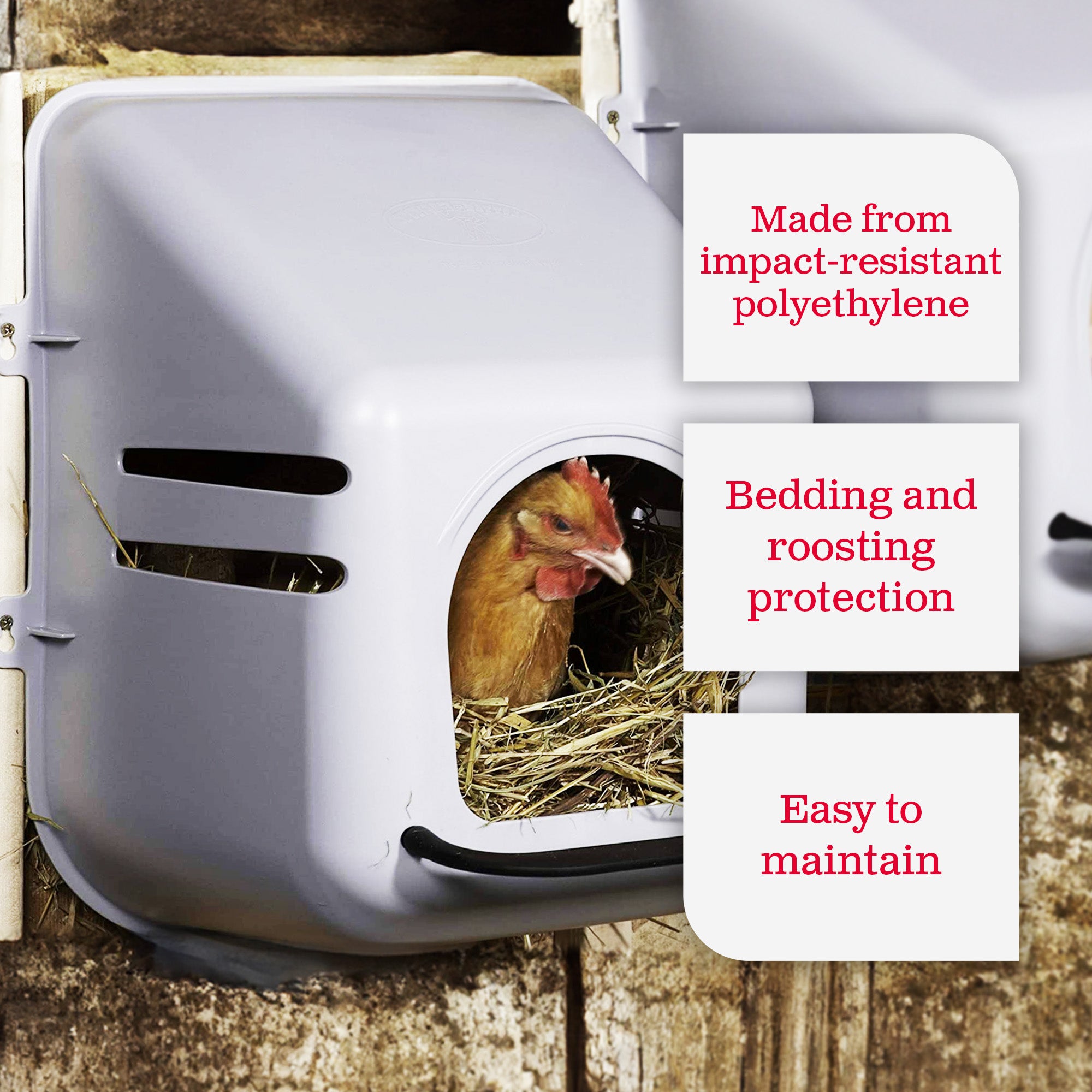 Little Giant Plastic Mountable Chicken Nesting Box with Ventilation Holes (Used) - VMInnovations