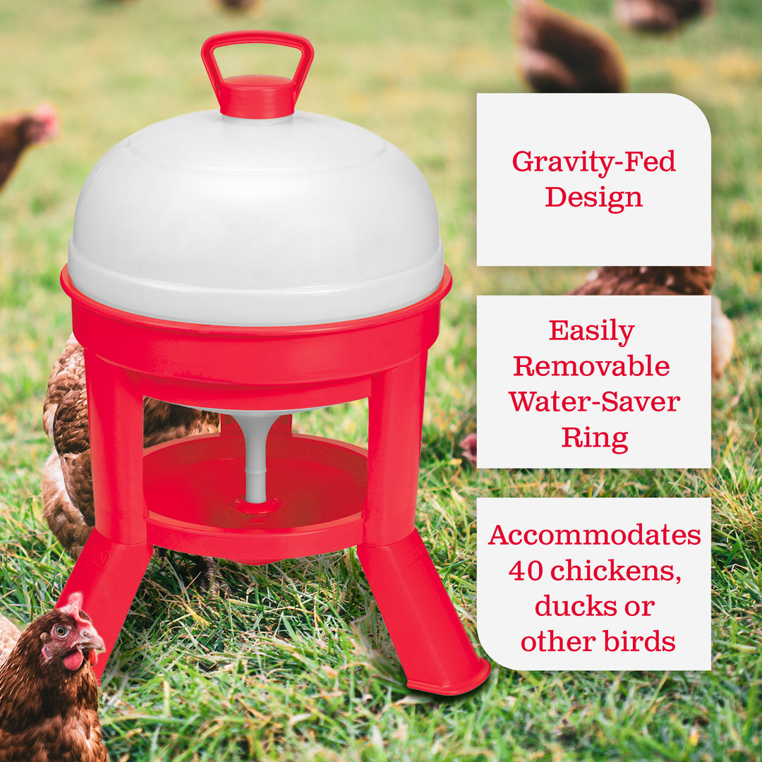 Little Giant DOMEWTR5 5 Gallon Tank Heavy Duty Poultry Chicken Gravity Waterer