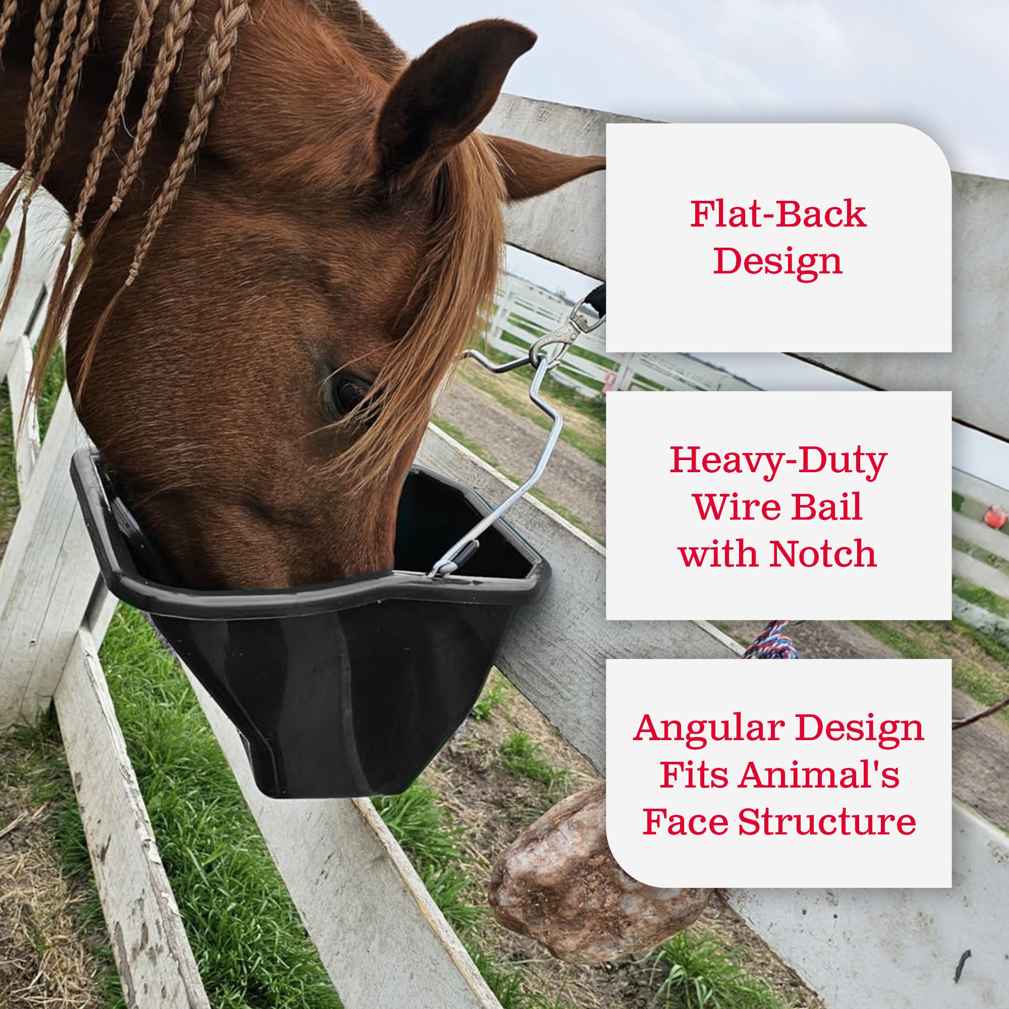 Little Giant 20-Qt Durable Plastic Flat Back Livestock Feed Bucket, Black (Used) - VMInnovations