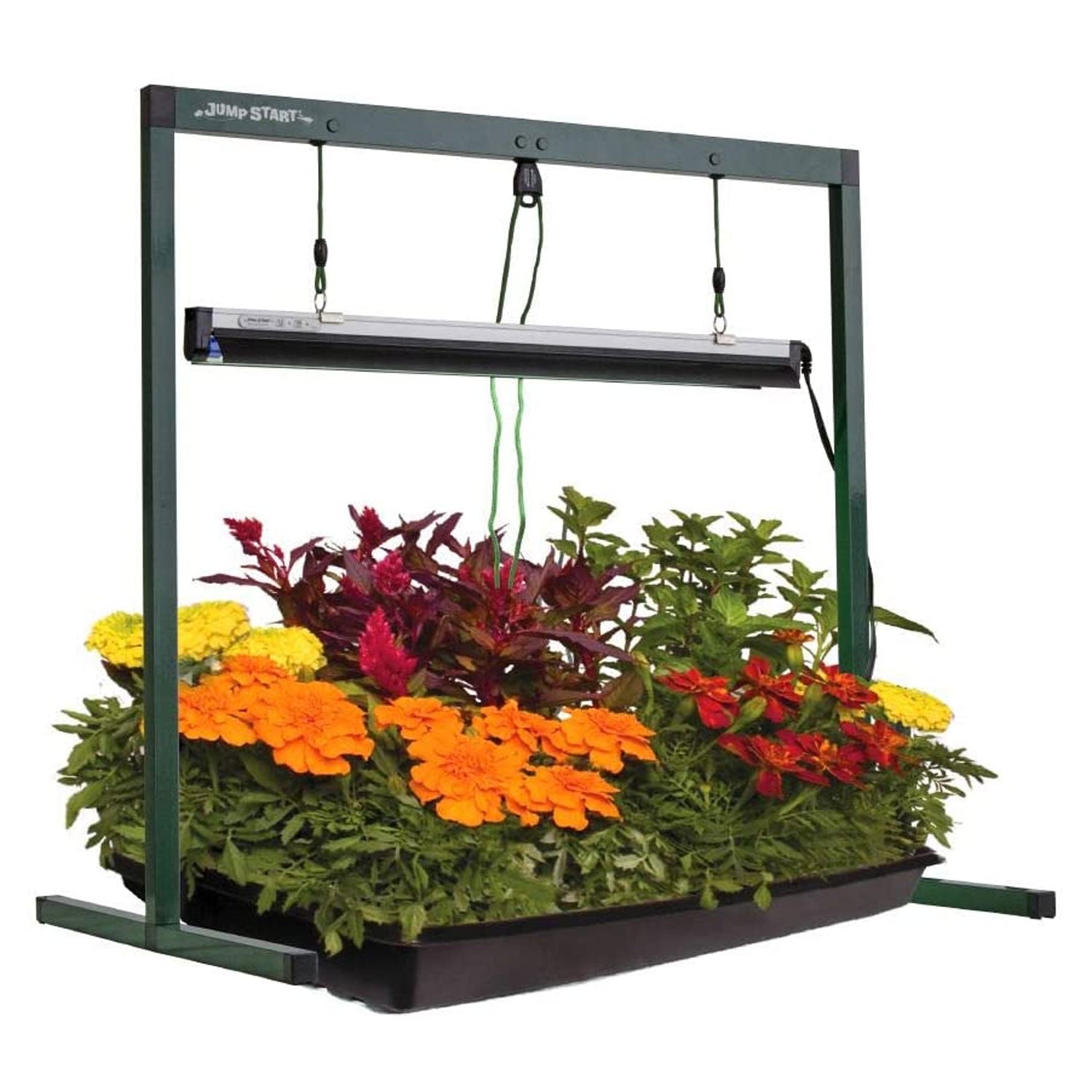 Jump Start Germination HotHouse with Heat Mat & T5 Adjustable Grow Light System