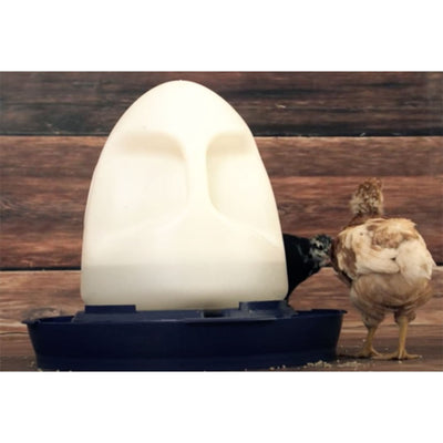 K&H Pet Products Thermo Heated Poultry Waterer No Roost Top, 2.5 Gal (Open Box)