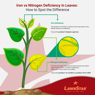 LawnStar Liquid Iron, Phosphorous Free, and Root Hume Fertilizer, 1 Gallon Each