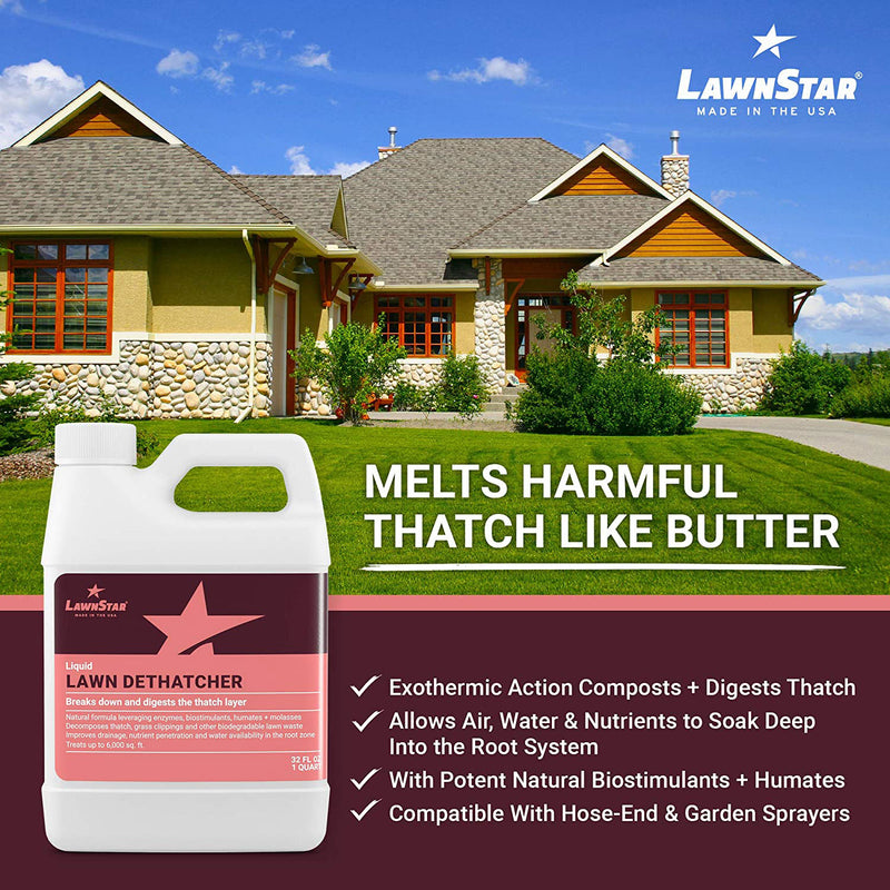 LawnStar Liquid Lawn Dethatcher for up to 6,400 Square Feet, 32 Ounce (3 Pack)