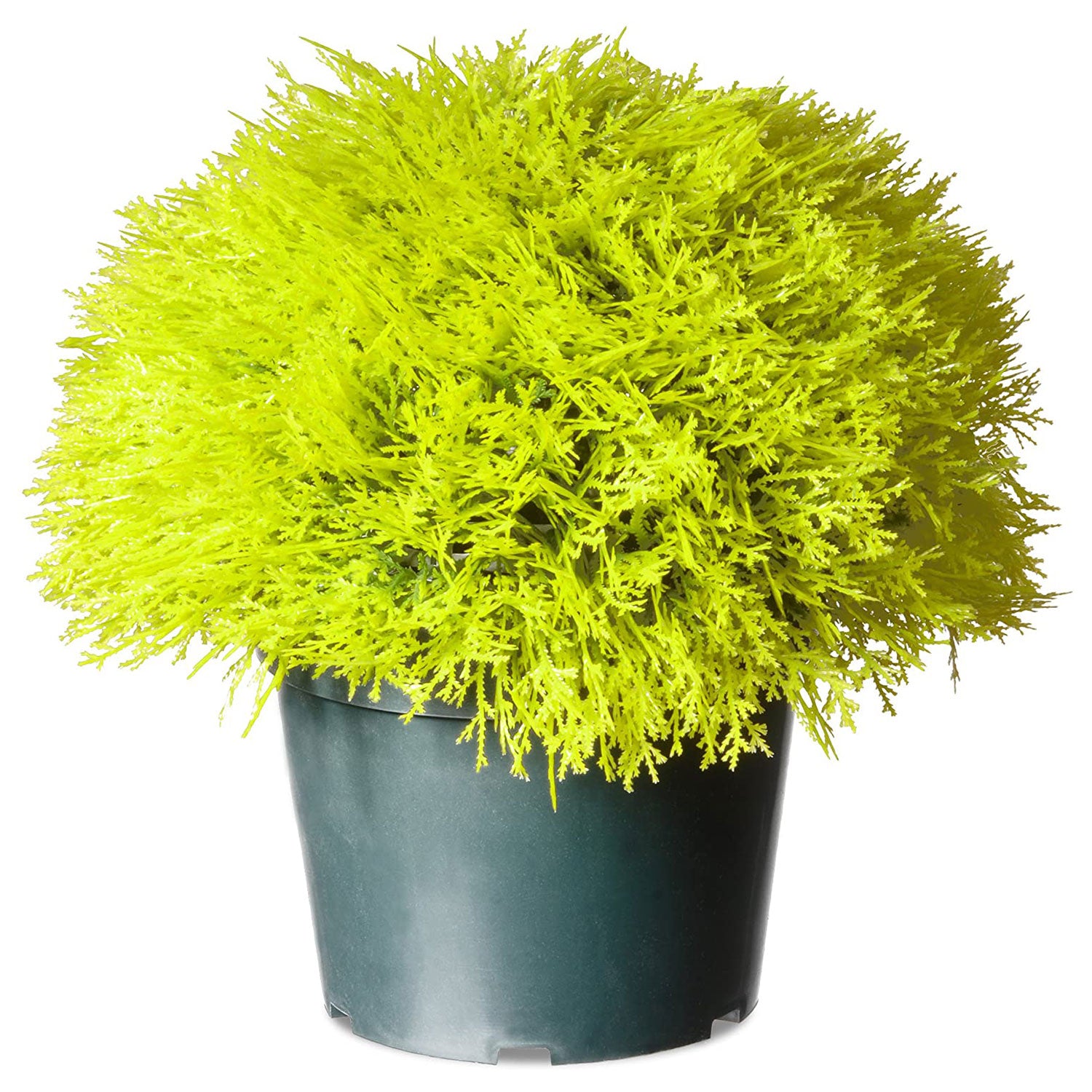 National Tree Company 15 Inch Golden Juniper Artificial Bush with Pot, Green