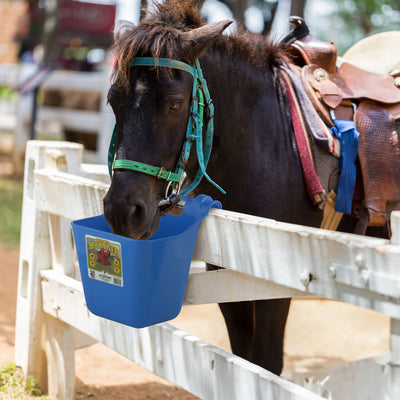 Little Giant 12 qt. Livestock & Pet Hook Bucket Feeder, Berry Blue (Open Box) - VMInnovations