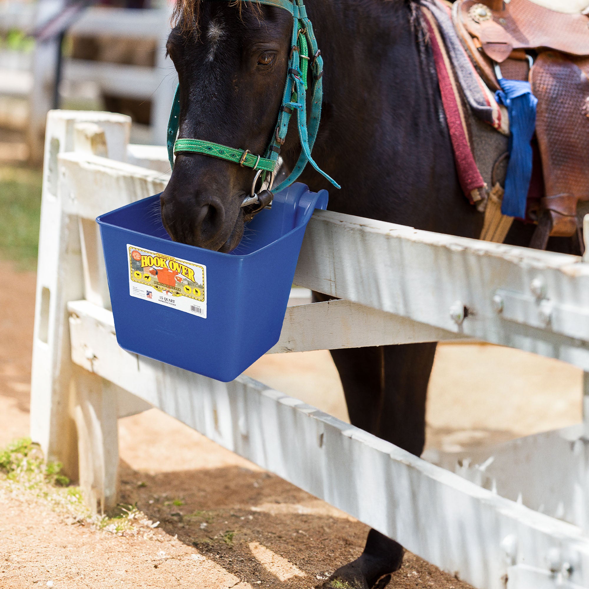 Little Giant 15 Quart Mountable Livestock & Pet Hook Over Bucket Feeder, Blue - VMInnovations
