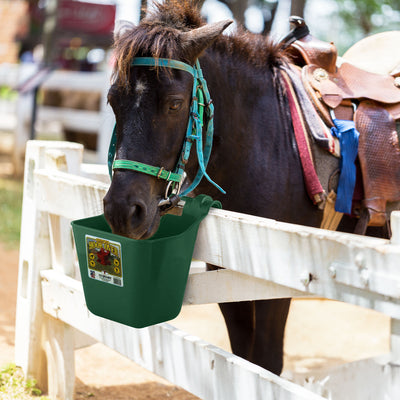 Little Giant 12 Quart Mountable Livestock & Pet Hook Over Bucket Feeder, Green - VMInnovations