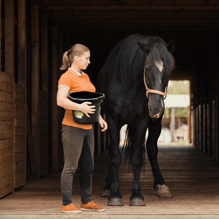 Little Giant Heavy Duty 22 Quart Flat Back Plastic Bucket w/ Metal Handle (Used)