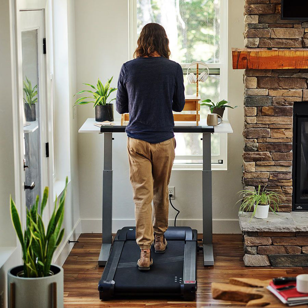 Lifespan Fitness TR1200-DT5 Adjustable Office Walking Desk Treadmill, Silver