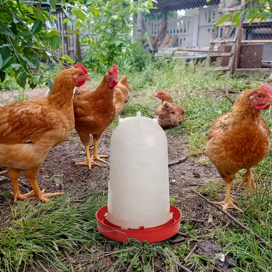 API 3 Gal Heated Poultry Chicken Waterer Drinking Water Tank Trough (Open Box)