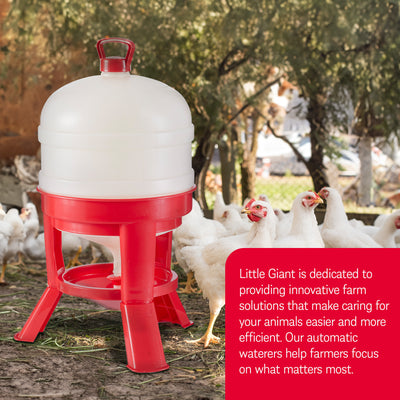 Little Giant 8 Gallon Tank Heavy Duty Poultry Chicken Gravity Waterer (4 Pack)