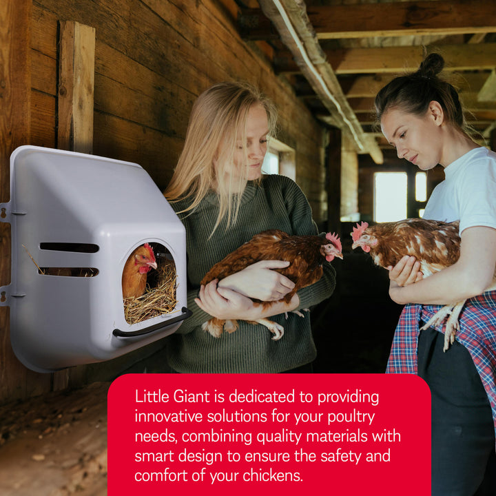 Little Giant Single Plastic Mountable Chicken Nesting Box with Ventilation Holes - VMInnovations