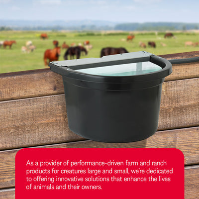 Little Giant 4 Gal. Float Controlled Waterer Livestock Water Trough (Used) - VMInnovations