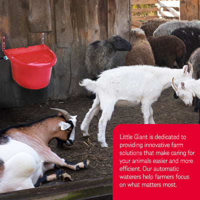 Little Giant 4 Gal Auto Float Controlled Waterer Livestock Trough, Red (4 Pack)