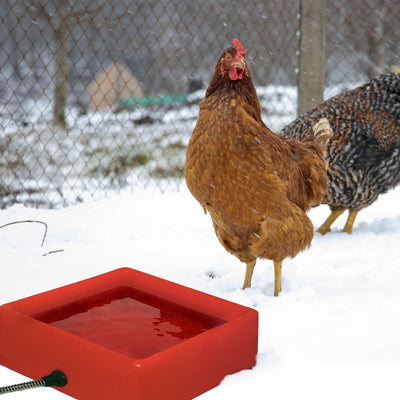Farm Innovators 1.25 Gallon 60W Electric Heated Pet Water Bowl, Red (2 Pack) - VMInnovations