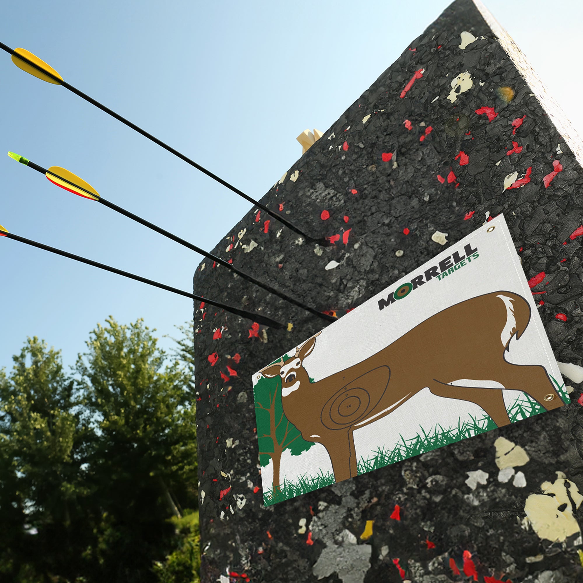 Morrell Targets Whitetail Deer IBO/NASP Archery Shooting Target Face for Hunting - VMInnovations