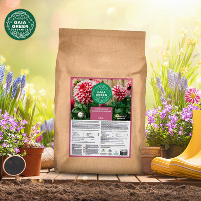 GAIA GREEN 10 Kg Bag All Purpose Soil Supplement & 10 Kg Power Bloom Plant Food - VMInnovations