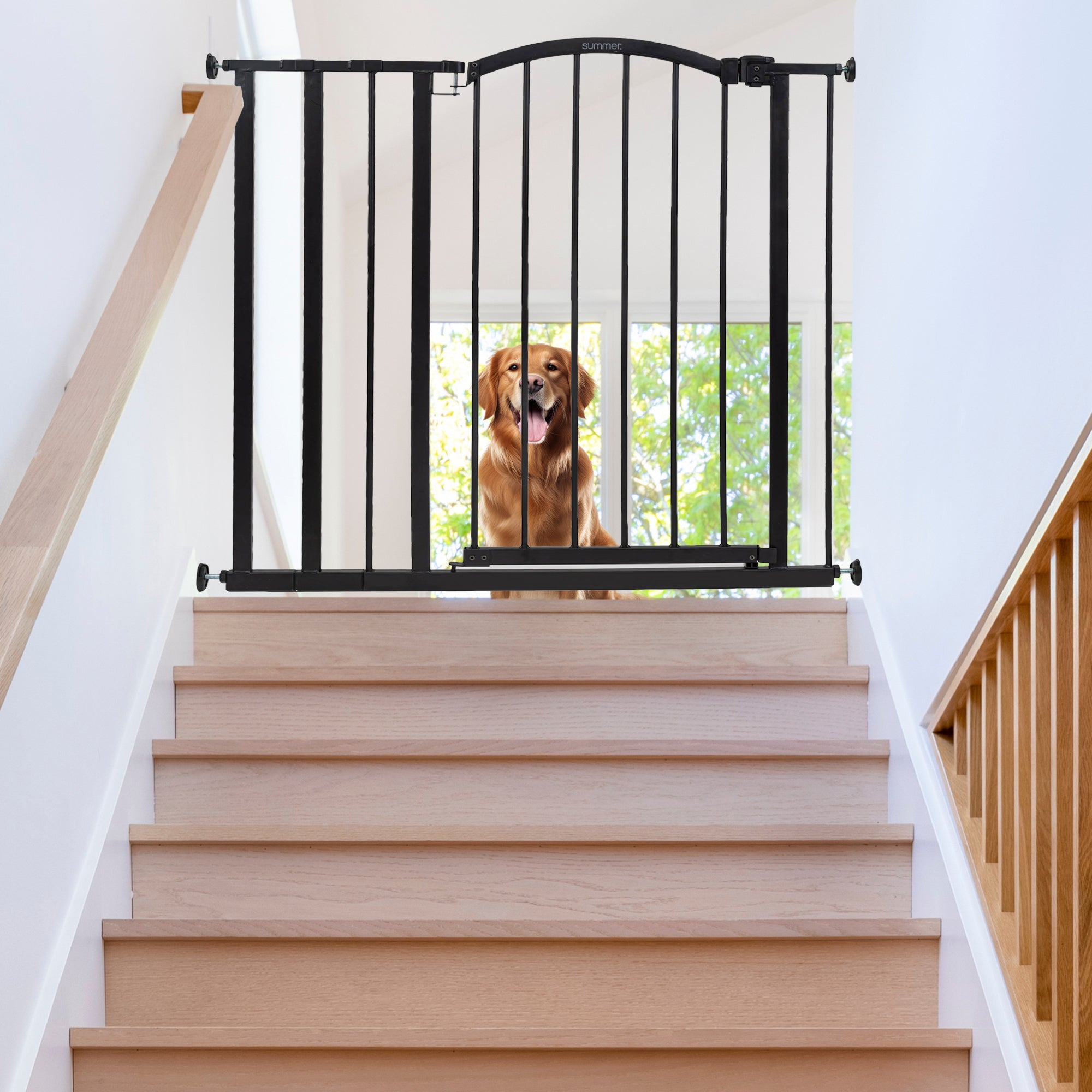 Summer 36" Extra Tall Summer Decorative Pet and Baby Gate, Black (Open Box) - VMInnovations