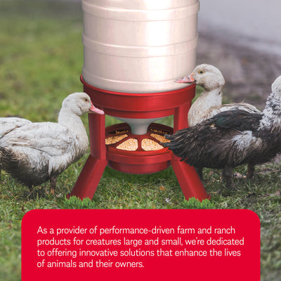 Little Giant 60 Pound Feed Heavy Duty Poultry Chicken Gravity Feeder (Open Box) - VMInnovations